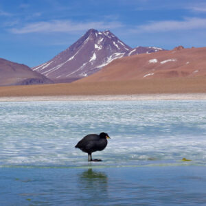 Plan solo para mí (imperdibles)